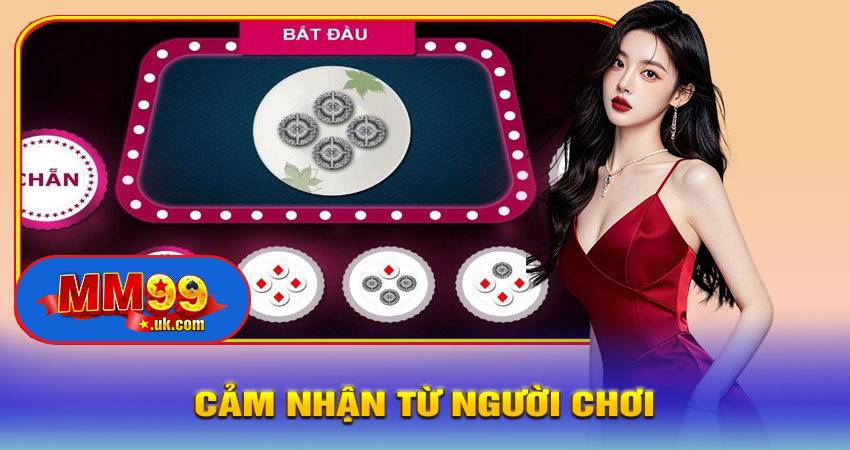 Cảm Nhận Từ Người Chơi